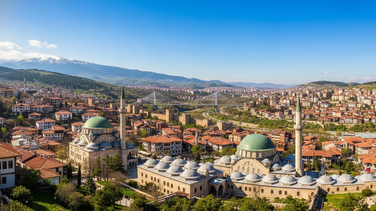 Bursa